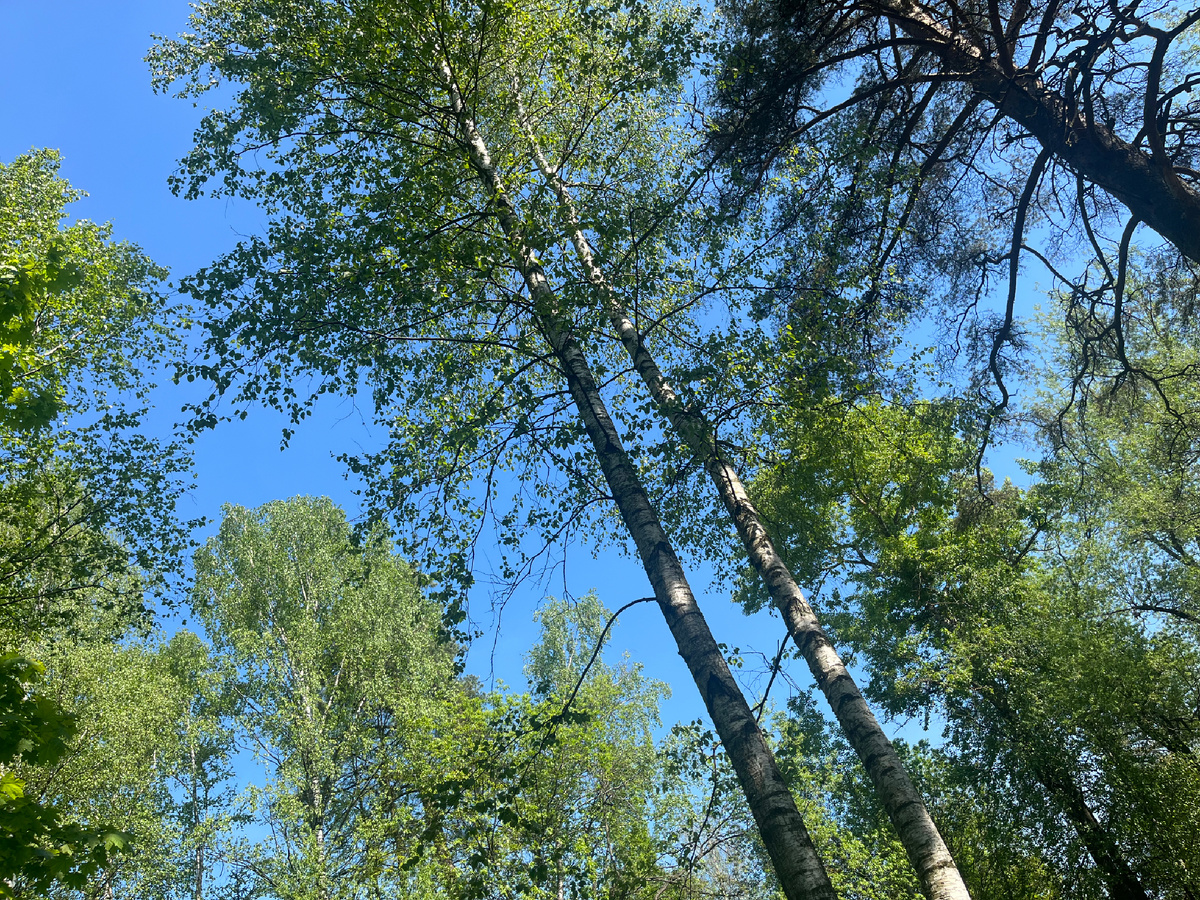 Пишу эту статью, качаясь на качелях 