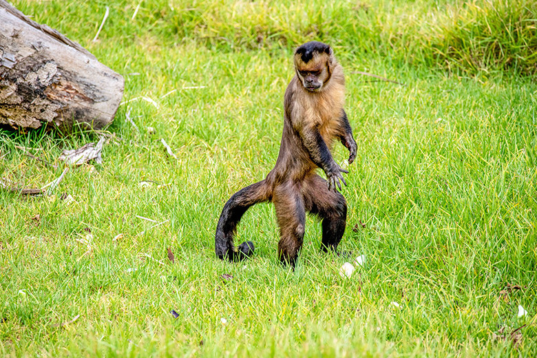    Tara Malhotra/Global Look Press