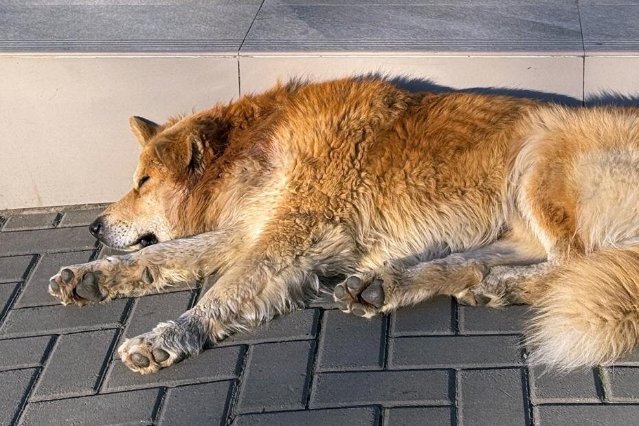    Сергей Петров/NEWS.ru