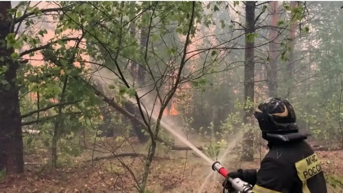    Лесной пожар.