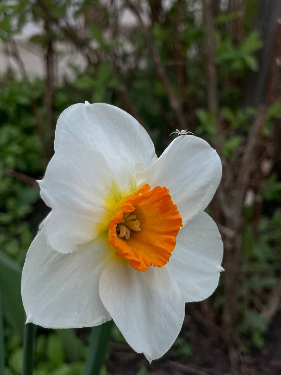 Фото Валерии Боднар