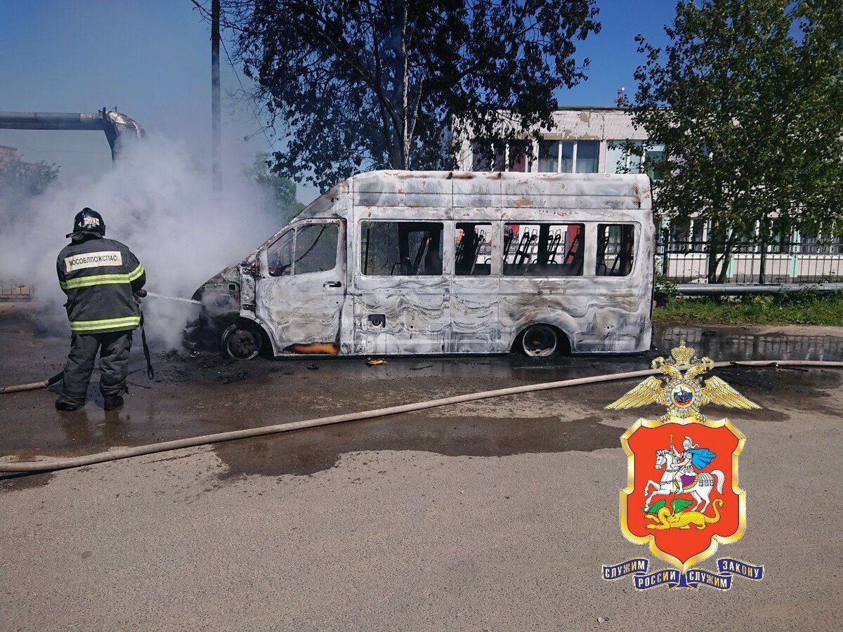     / Источник: © Telegram/Подмосковная полиция