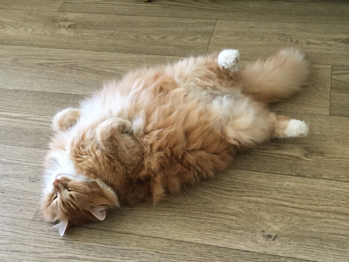 Беша. Фото автора