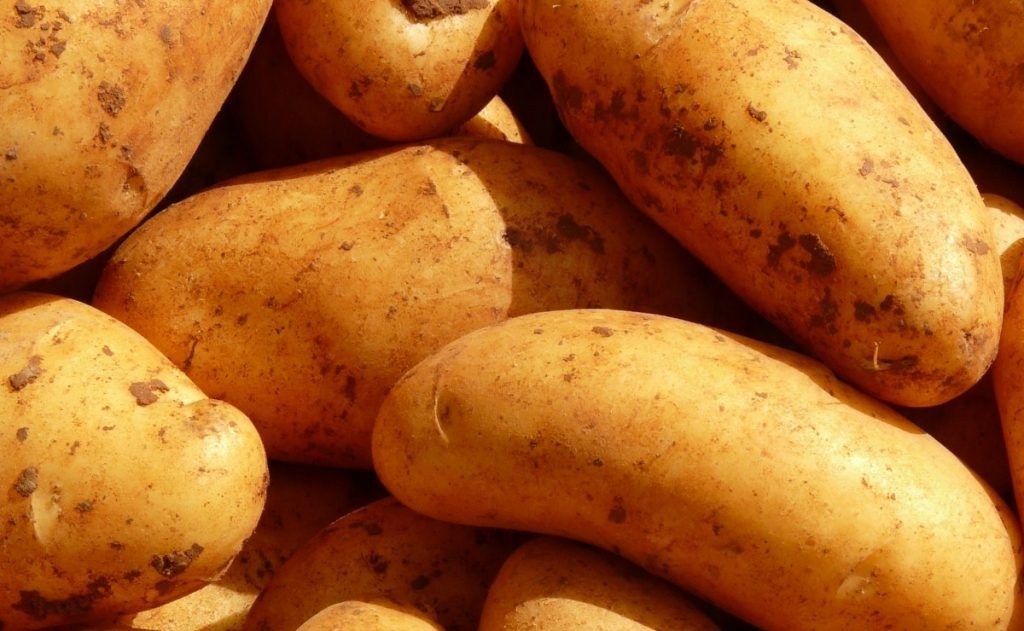    Фото: pxhere.com Редактор