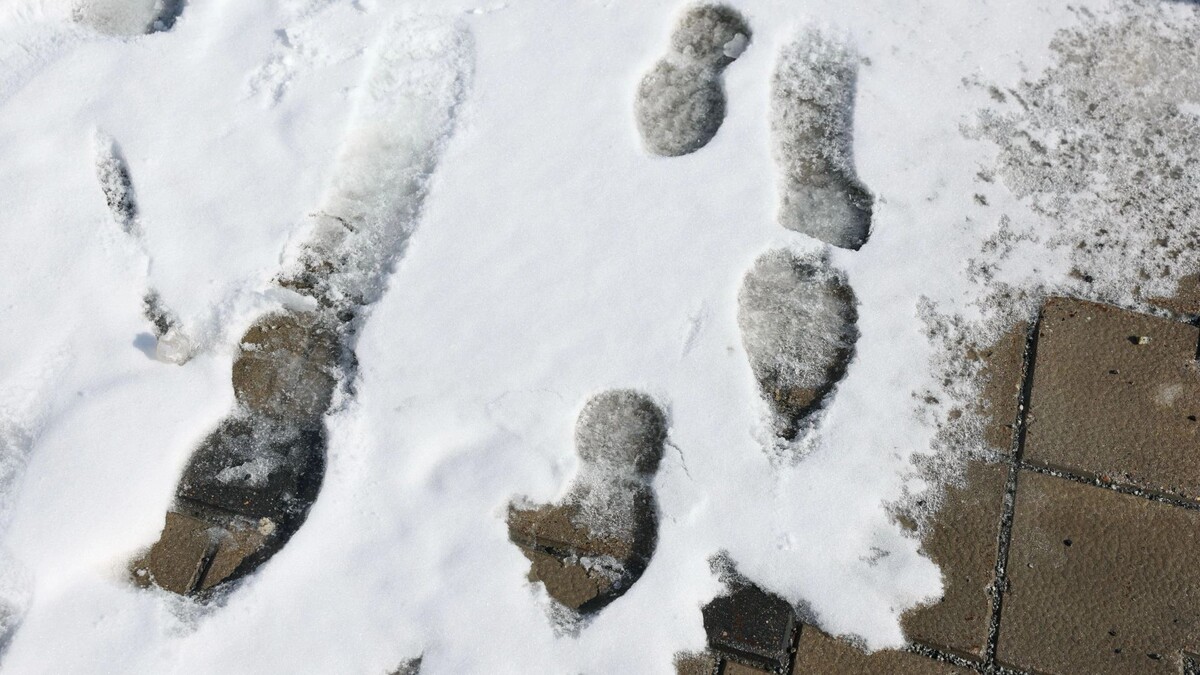    Фото: Андрей Ткачев/«Ямал-Медиа»
