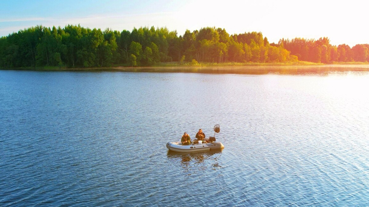    Фото: Maksim Safaniuk/Shutterstock/Fotodom