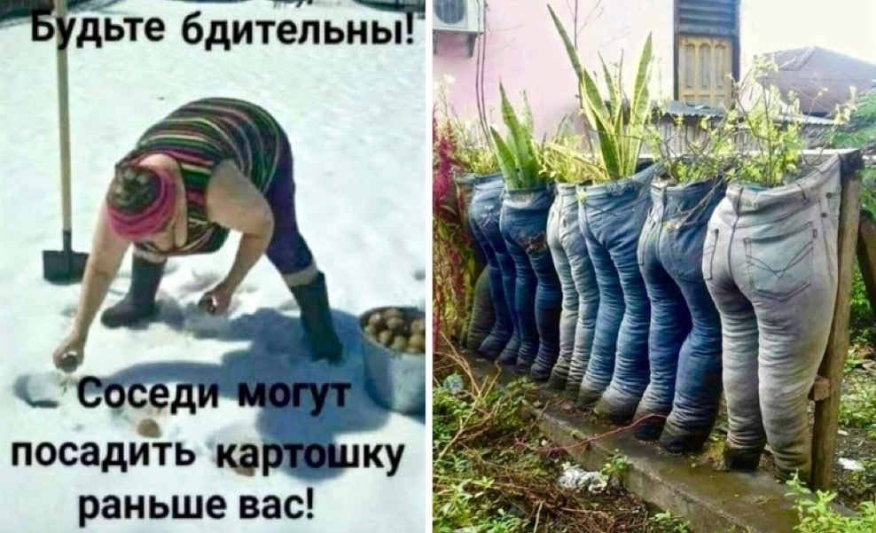 Соседи они такие. А мы их креативом!)) Юмор, дача!