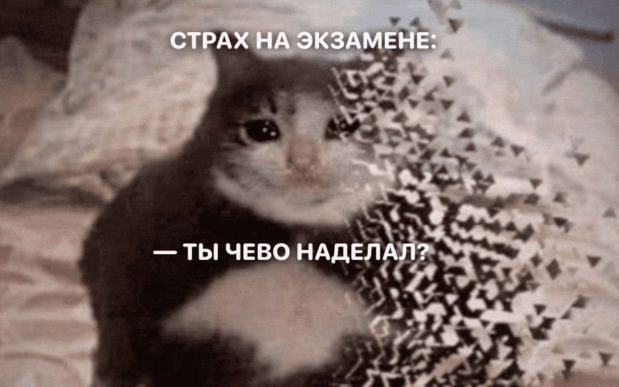 это страшное слово ЭКЗАМЕНЫ