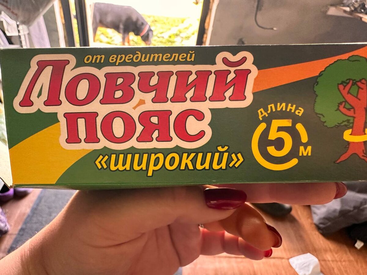 Не приклеиваются муравьи