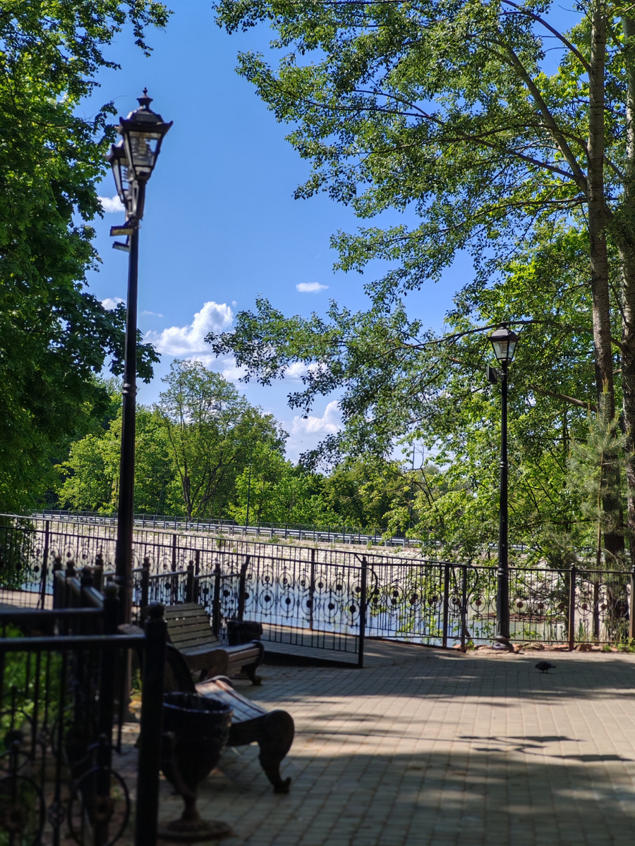 Парк. Вид на пруд