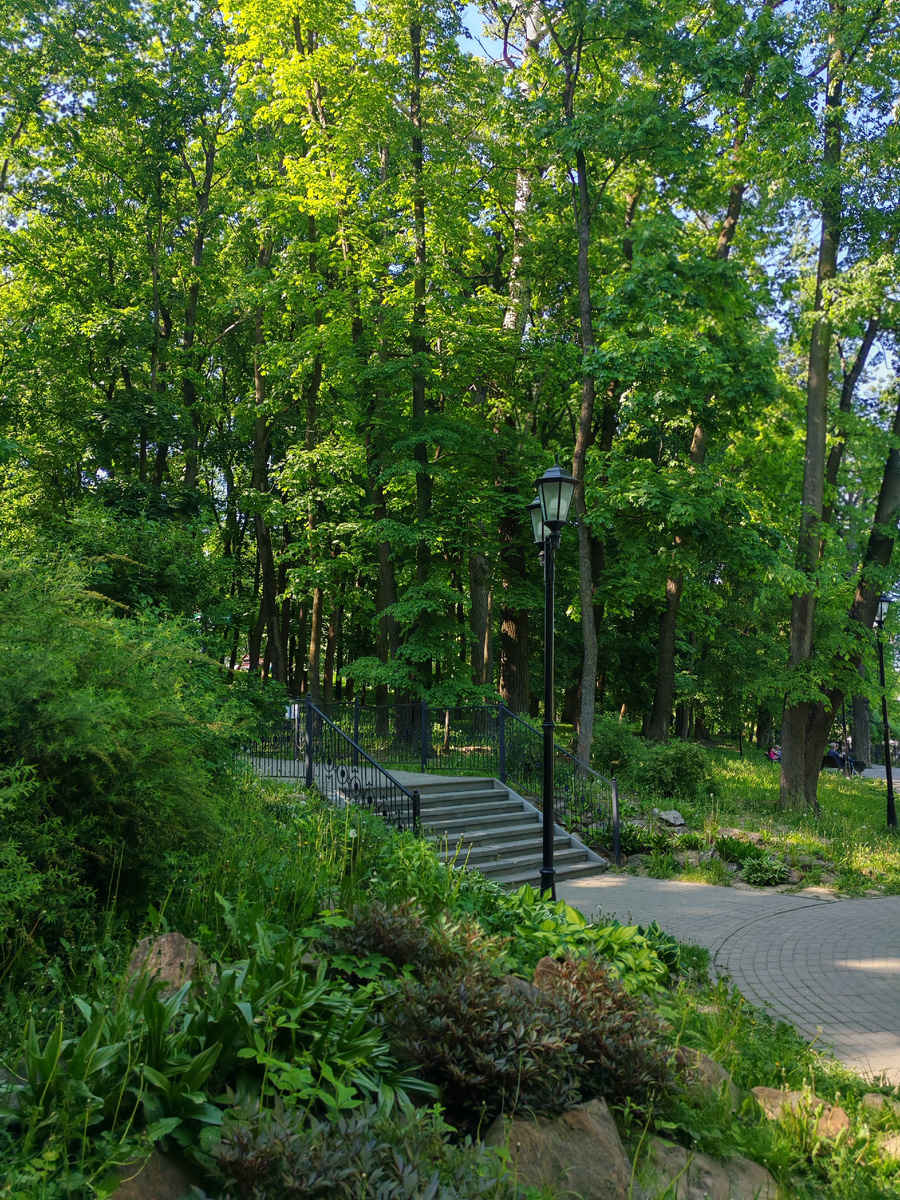 Аллея в парке