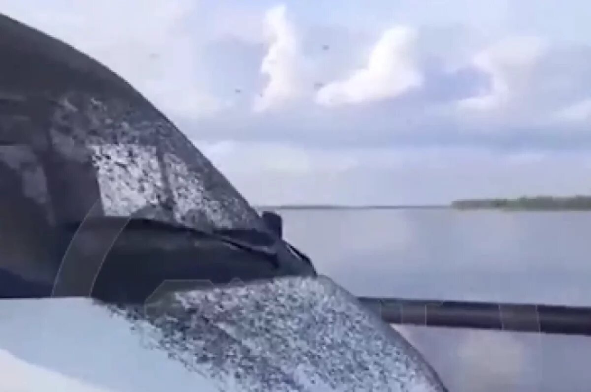    Томичей предупреждают о скором нашествии комаров и мошки