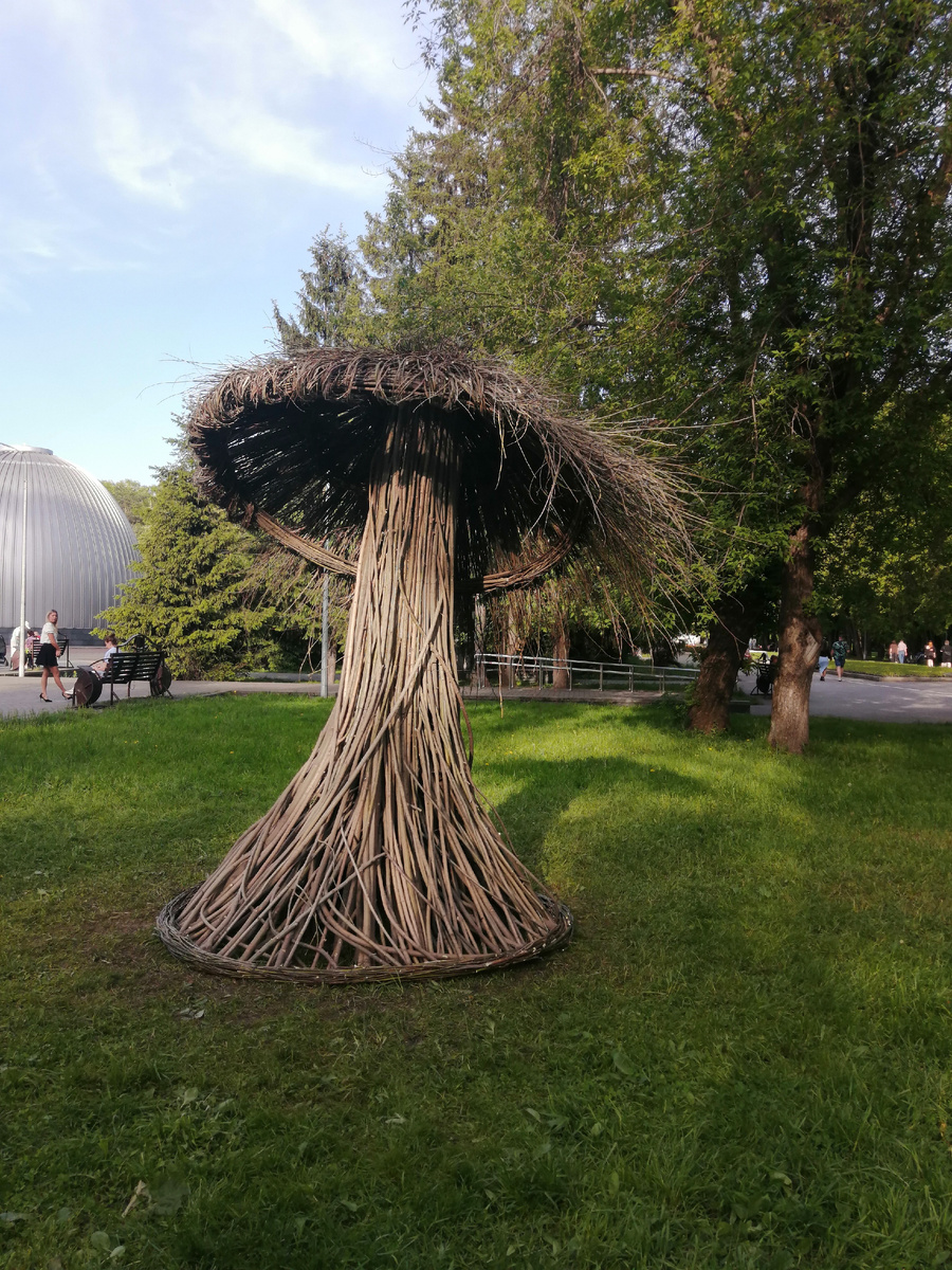 В нашем парке