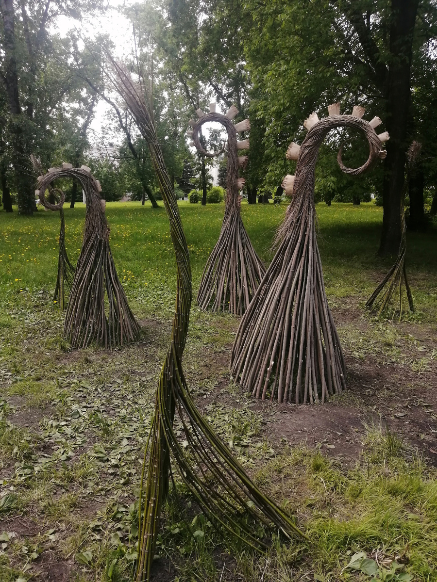 Чудеса и загадки 