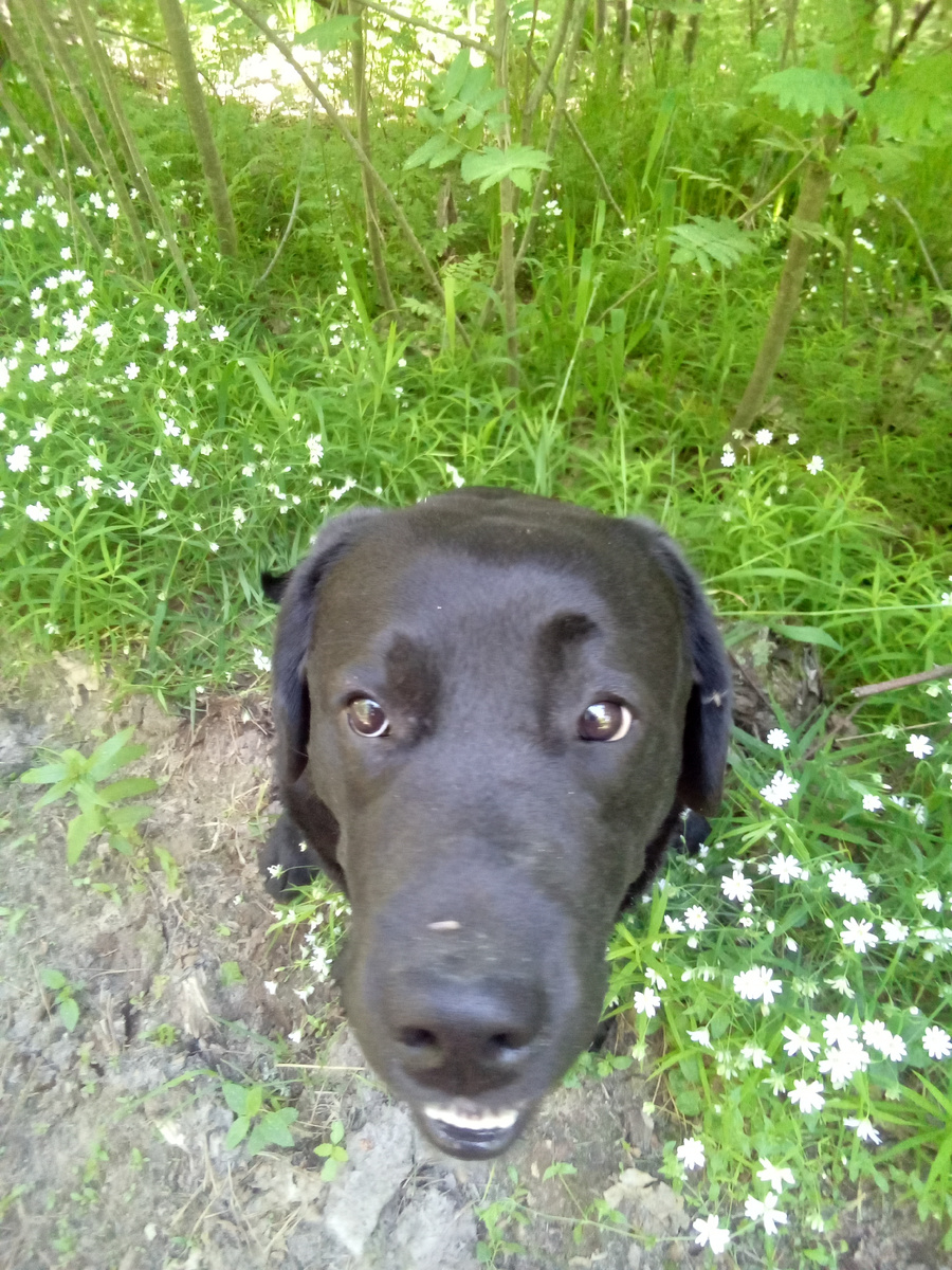 Фото автора.