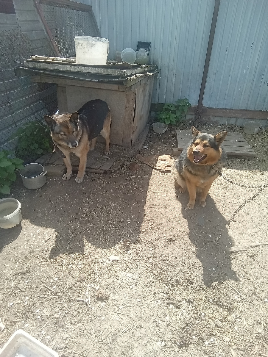 Фото автора.