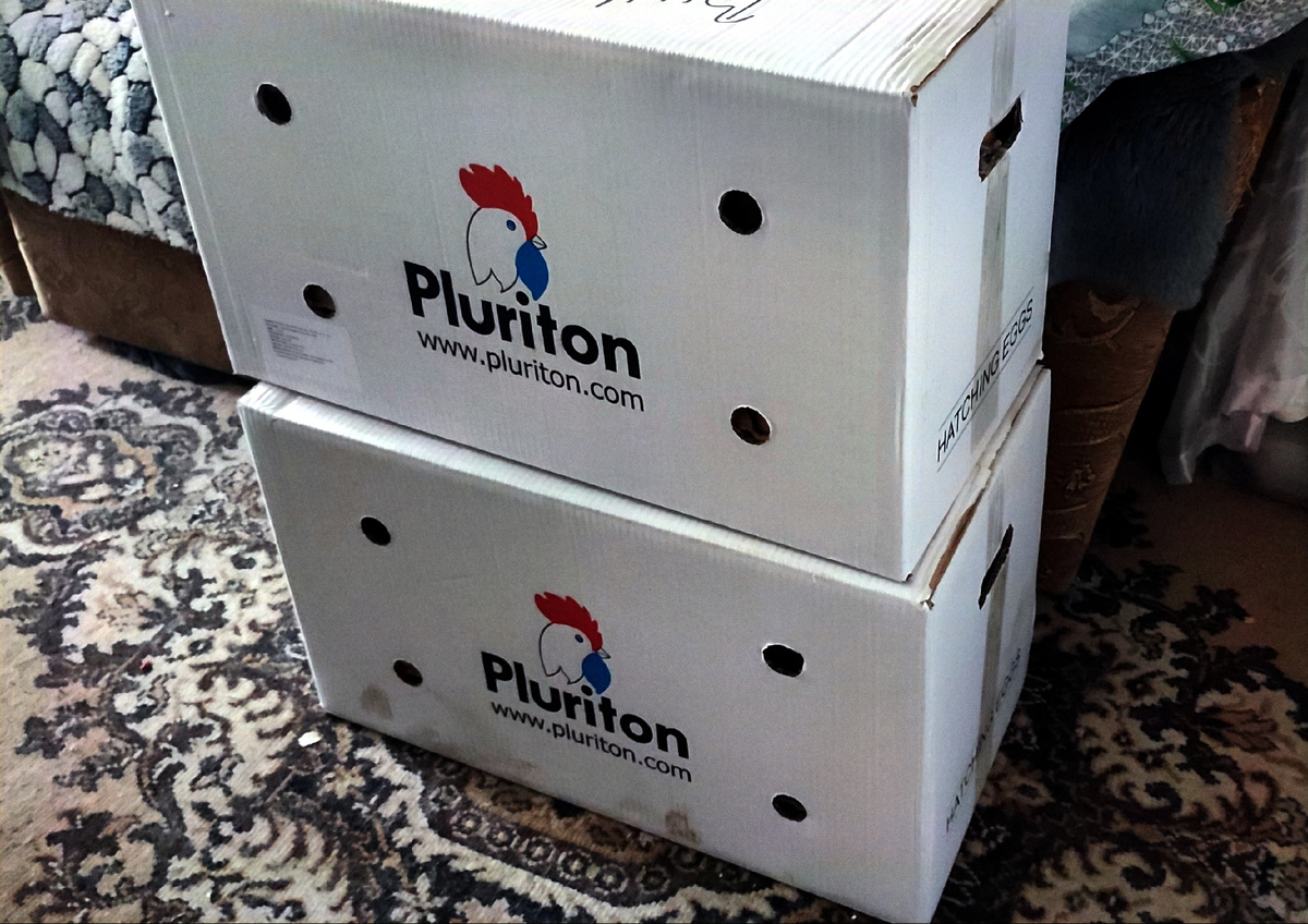 Вот эти две коробки которые нам привезли на замену