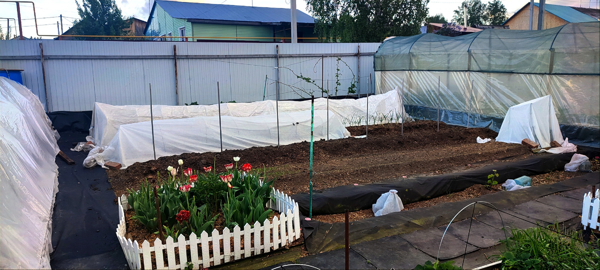 И вот так весь огород... укрывашки, укрывашки, укрывашки... 