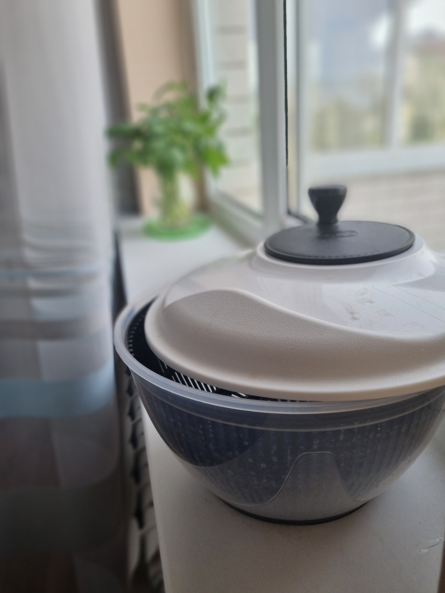 Почти как шарманка. Или юла. В общем, здравствуй, детство. © Фото: Зеленая леди: сад, семья и томатный сок