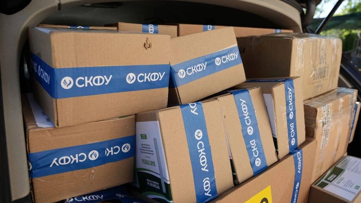     Источник: СКФУ