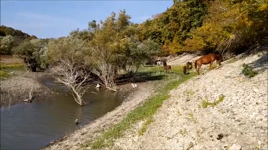 Маленькое поселение с большой историей: чем интересен хутор Куматырь под Анапой?