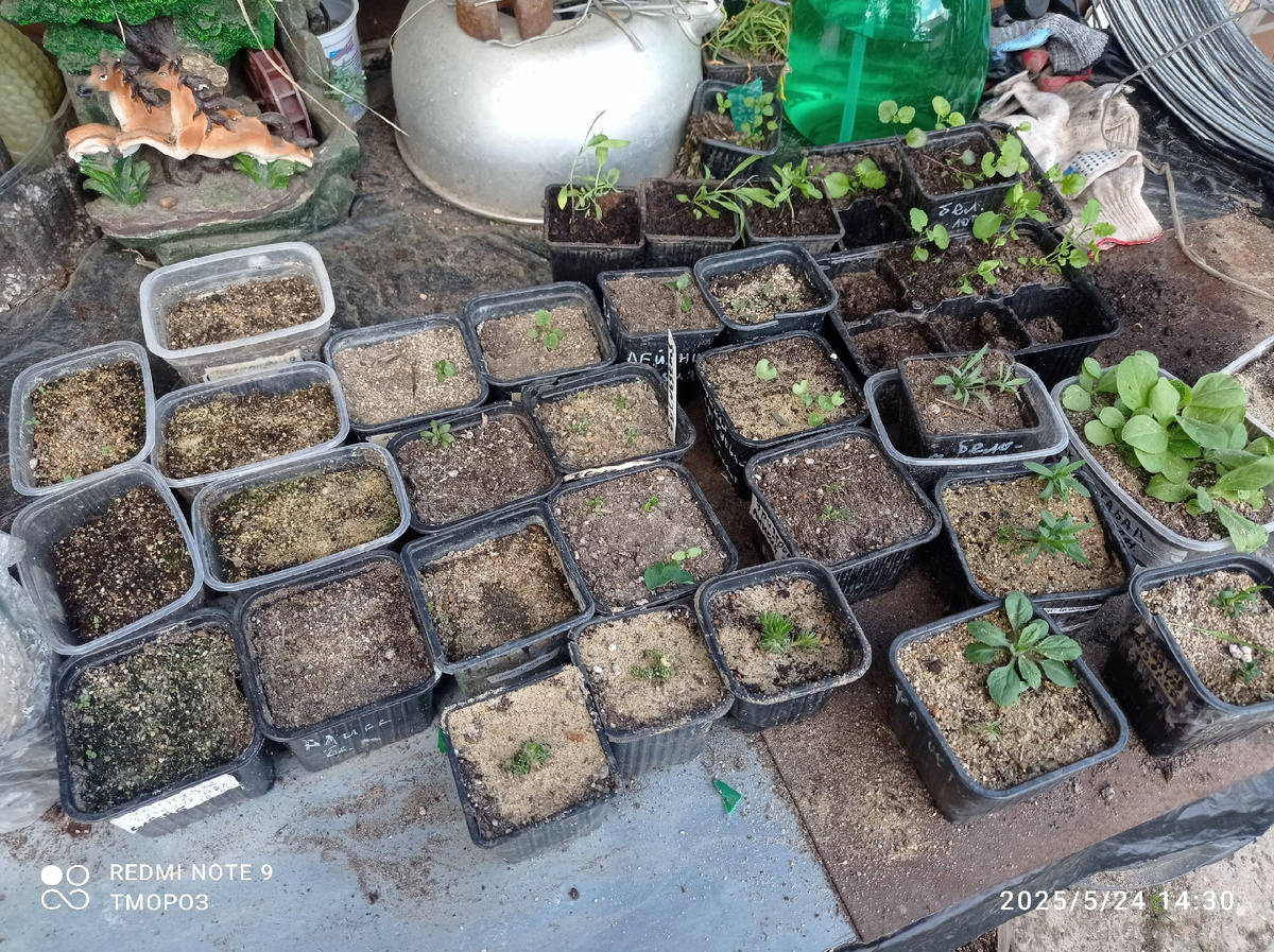 часть посевов