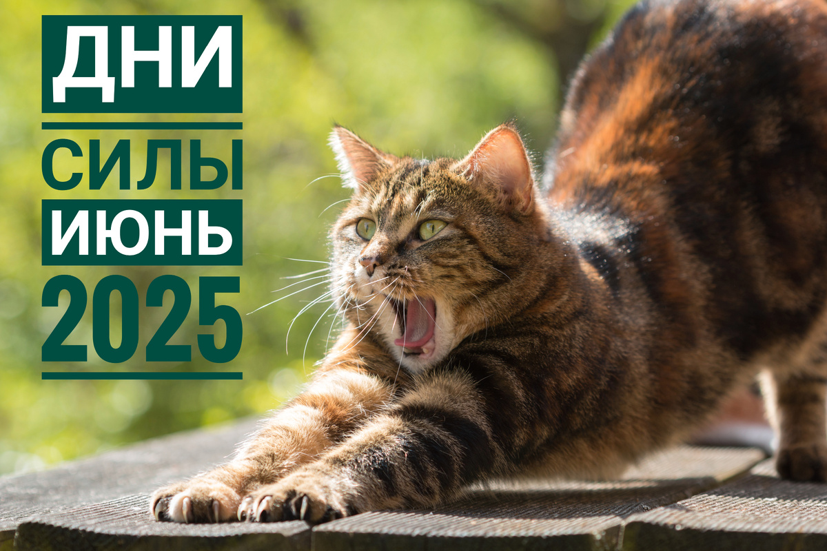 Дни силы в июне 2025