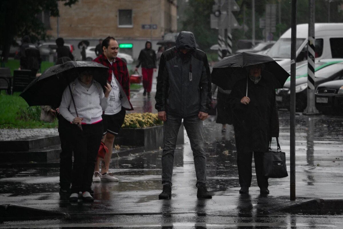    Фото: "Республика" / Оксана Кудряшова