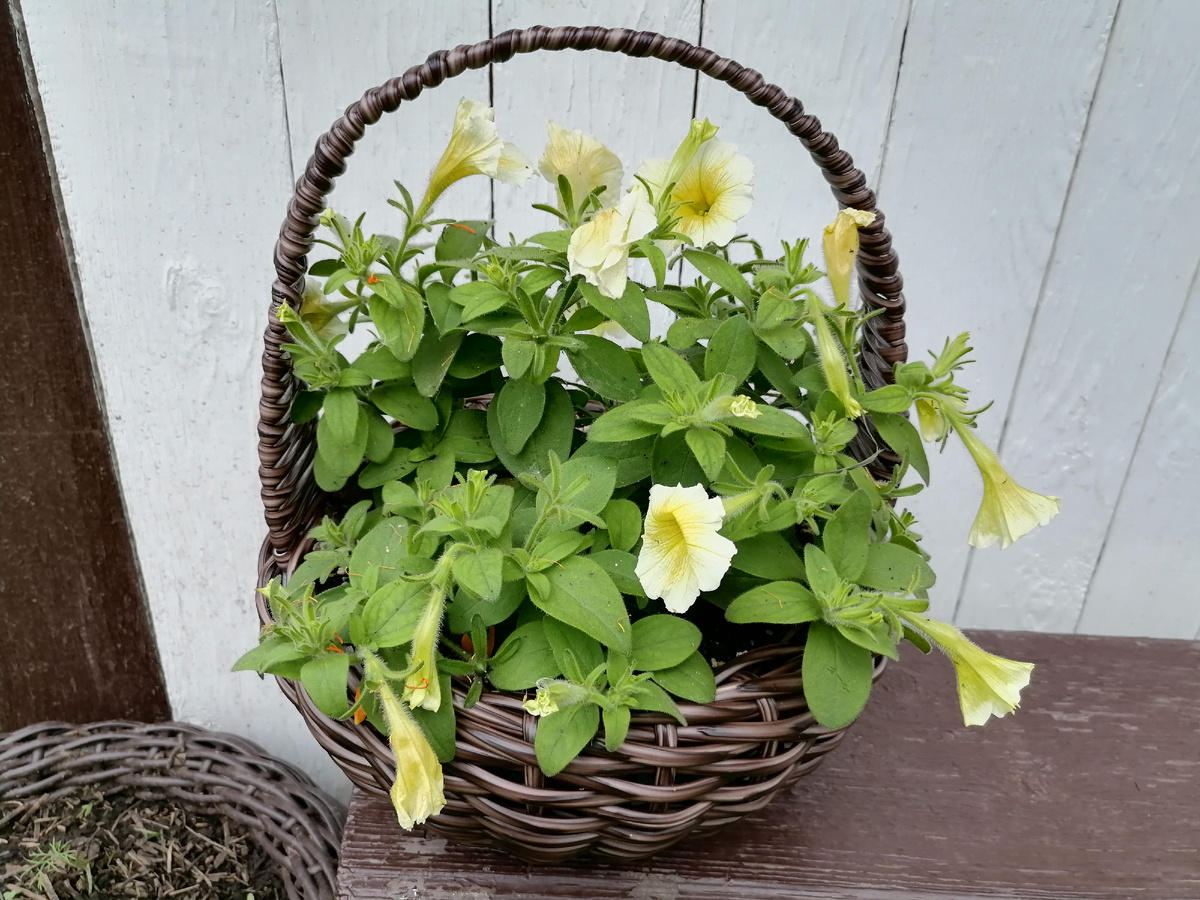 Какую красоту на память выпускники подарили. Знают, чем порадовать.