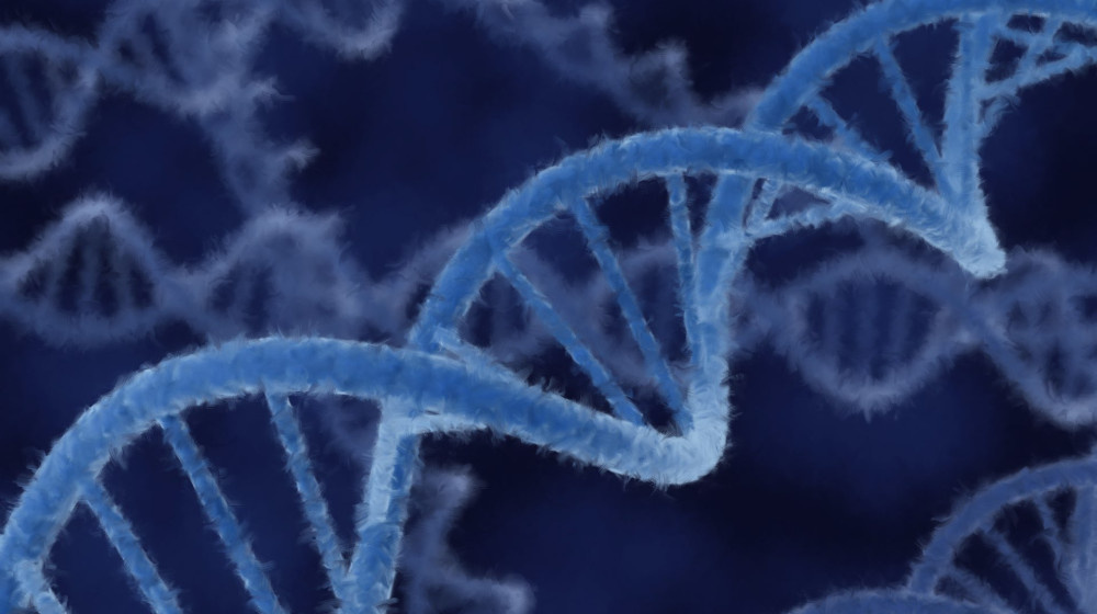    Паучий шёлк прочнее кевлара но учёные до сих пор не могут его подделать