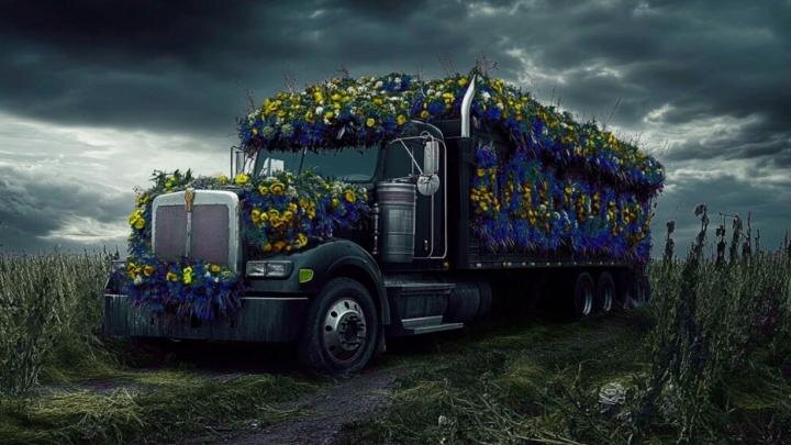 Коллаж NovorosInform