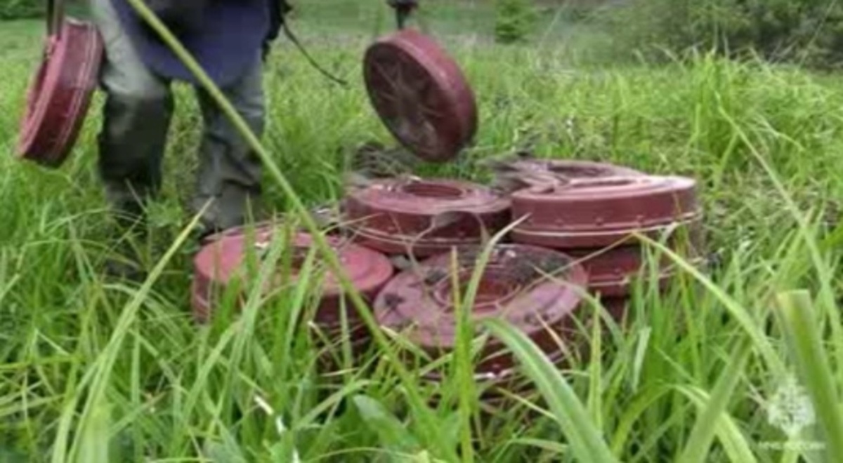    Обзор событий недели от пресс-службы Главного управления МЧС России по Курской области