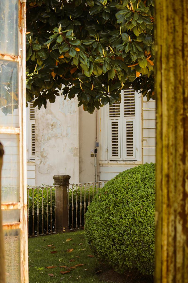 Фотограф: Zeynep Şahin: https://www.pexels.com/ru-ru/photo/32225086/