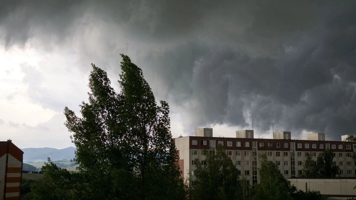    Фото: Vechterova Valeria/Shutterstock/Fotodom