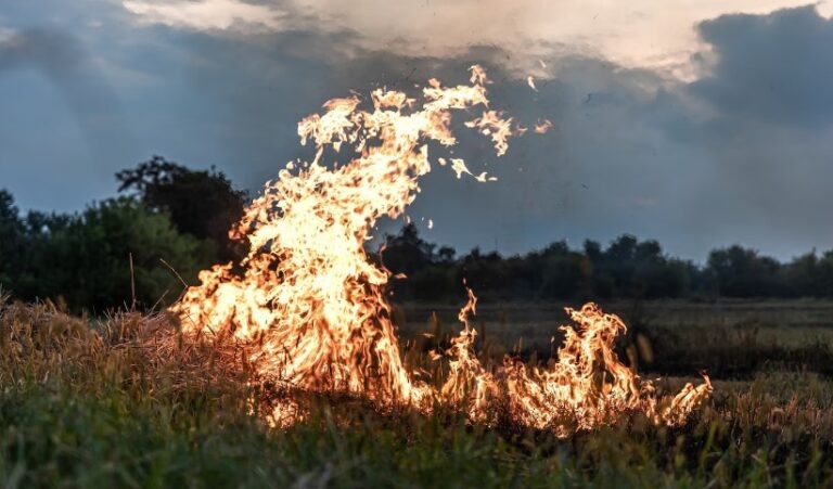    Фото: freepik.com/free-photo Анфиса Слепцова