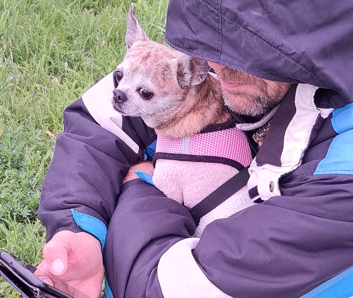 Фото авторское)))