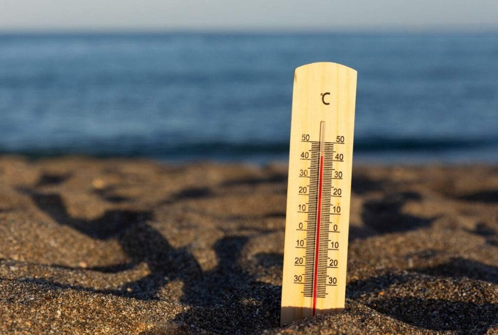    Фото: freepik.com Редактор