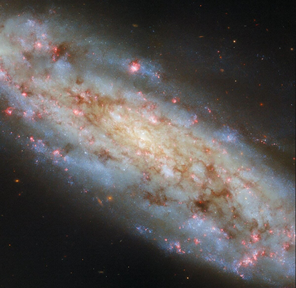 Фото: ESA/Hubble & NASA, D. Thilker  📷
