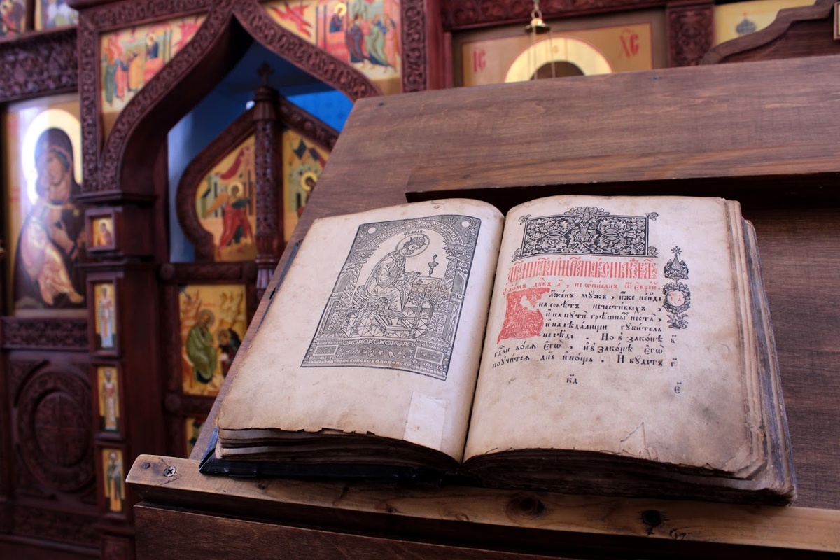 Источник изображения: media.elitsy.ru