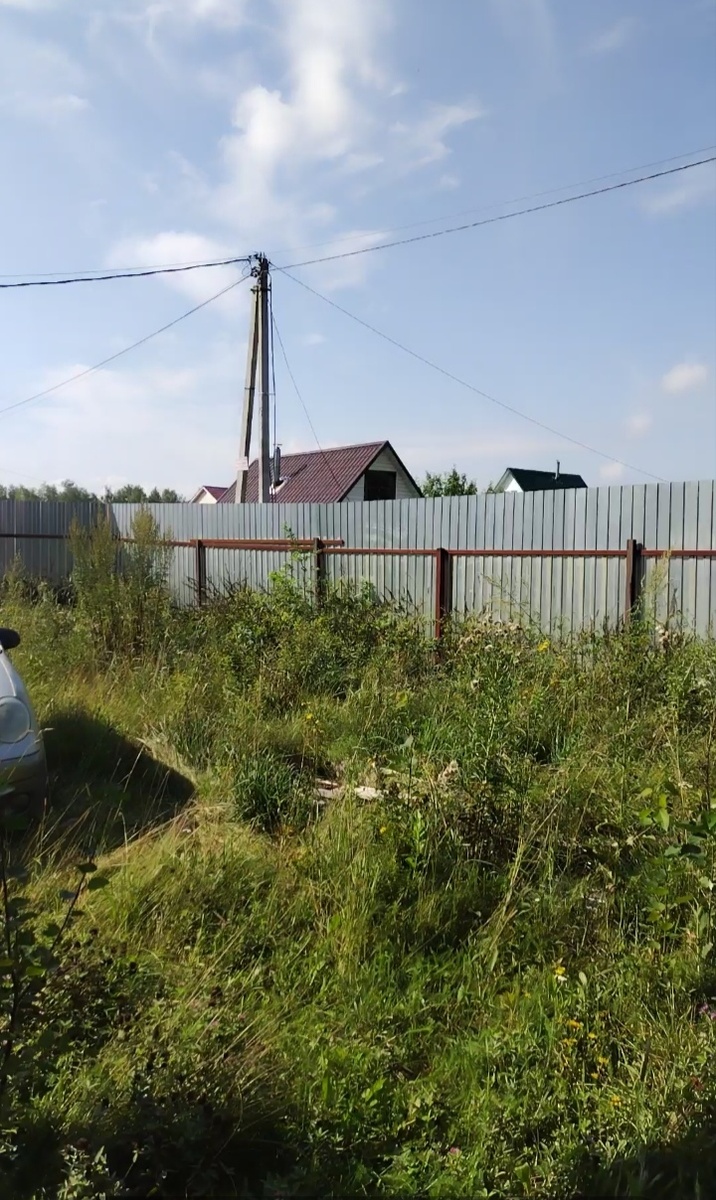 Вот такая травища была в наш первый приезд