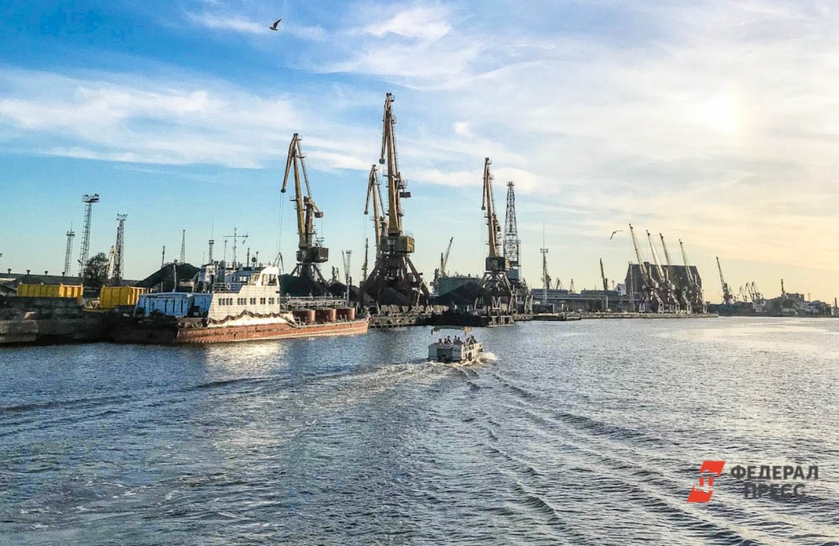 Самолет, предположительно, вылетел со стороны Калининграда.  Фото: ФедералПресс / Дарья Кекош