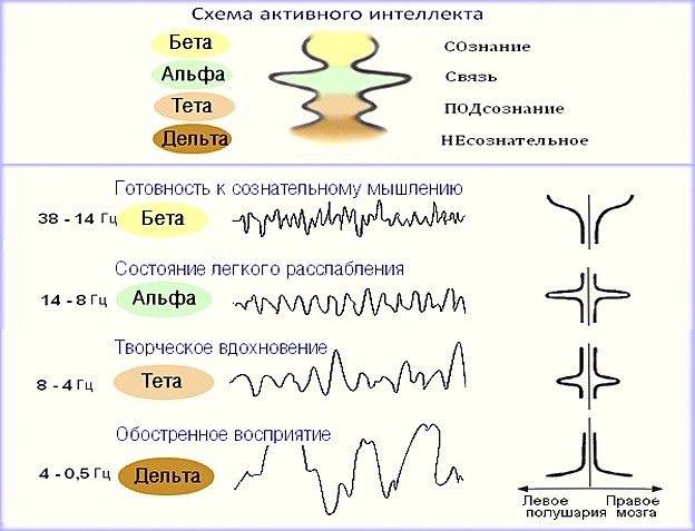 Изображение для иллюстрации, из открытых источников