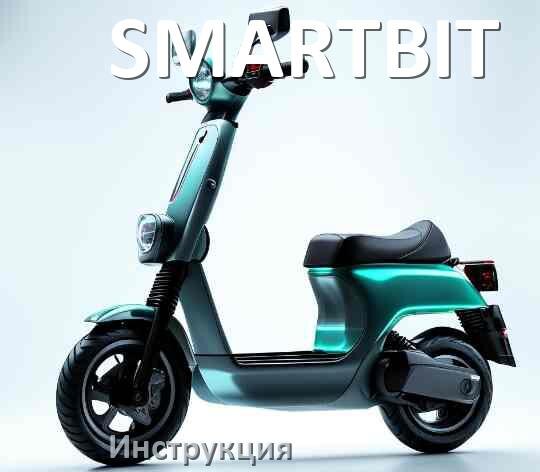 
Руководство пользователя от электросамоката SMARTBIT инструкция PDF на русском