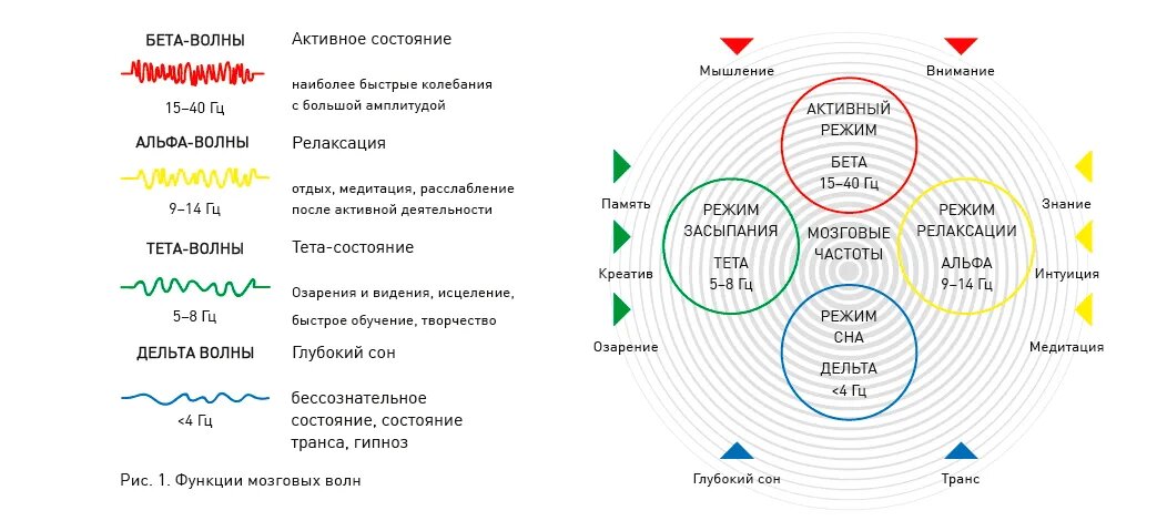 Изображение для иллюстрации, из открытых источников