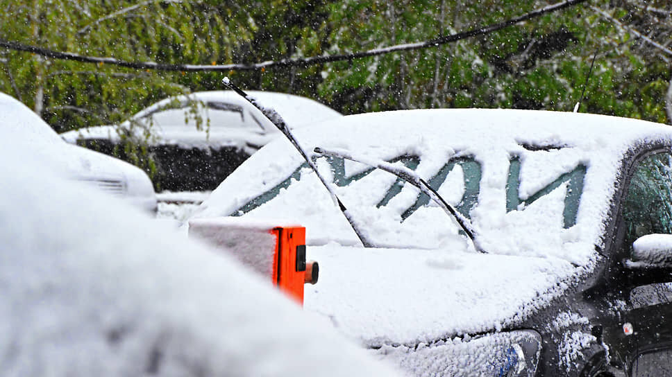 Фото: Анатолий Жданов / Коммерсантъ