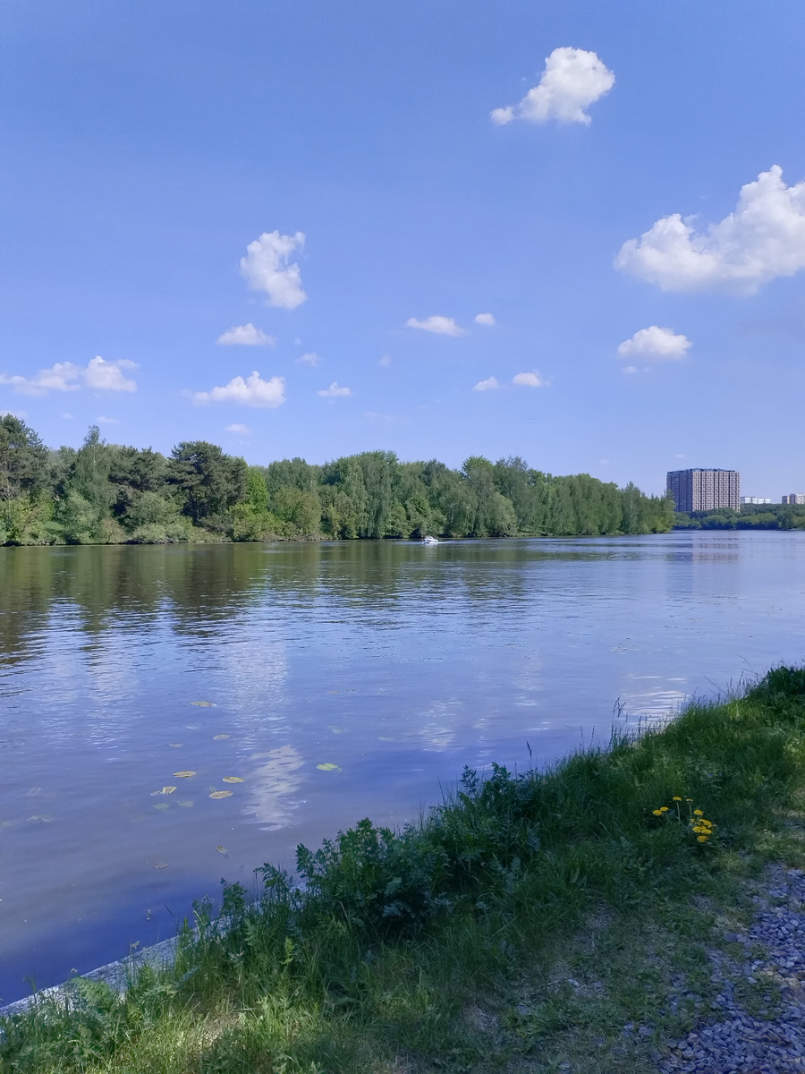 Утренняя тишь да благодать