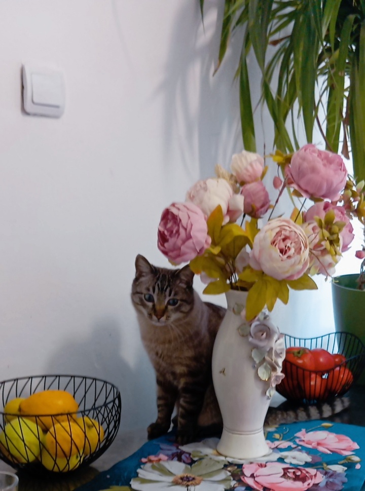 Нет, я не заметила никого. Фото : Ваза с пионами.