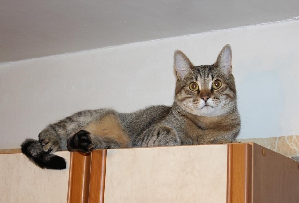 Фото из Интернета.