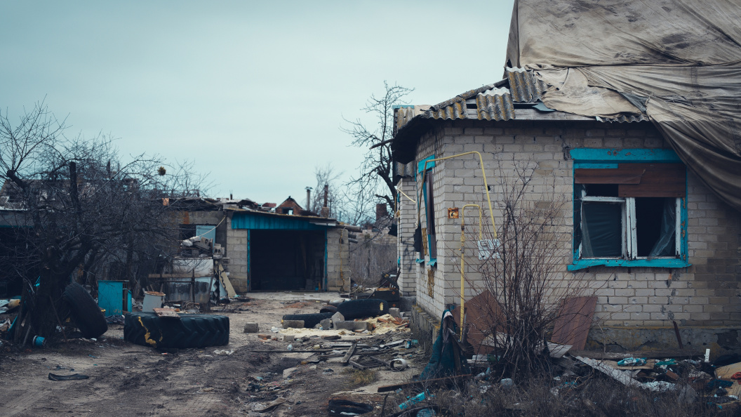    Фото: Kravets Misha/shutterstock