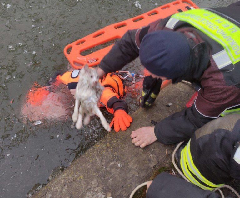    Фото: Telegram-канал «Городское хозяйство Москвы»/ Ксения Фурдман Анфиса Слепцова